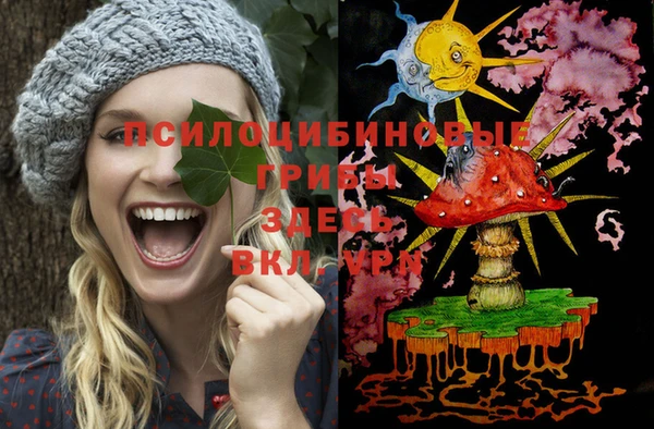 прущие грибы Алзамай