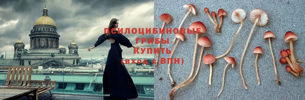 спайс Абинск