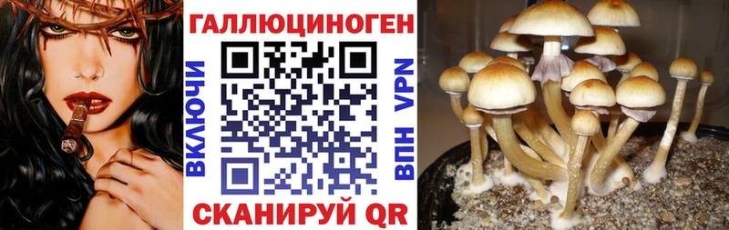 Псилоцибиновые грибы прущие грибы  купить наркотик  Шумиха 