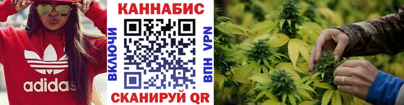 дарк нет наркотические препараты  Шумиха  Бошки марихуана VHQ 